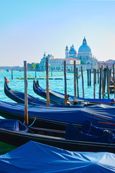 Similar image 22537350