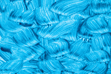 Similar image 22536975