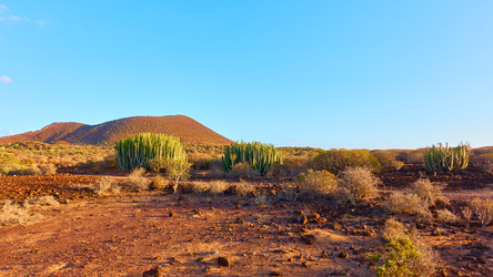 Similar image 22537124