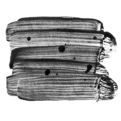 Similar image 22537182