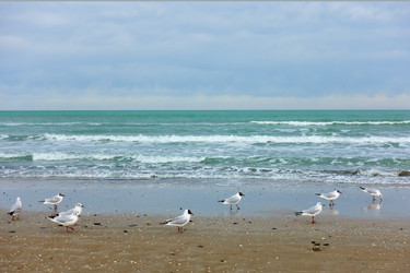 Similar image 22537393