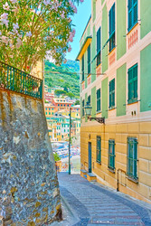 Similar image 22537606