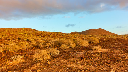 Similar image 22536649