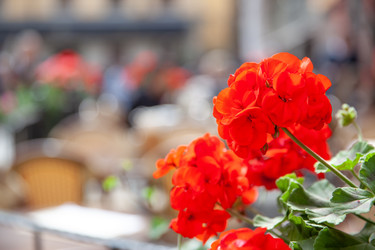 Similar image 22536708