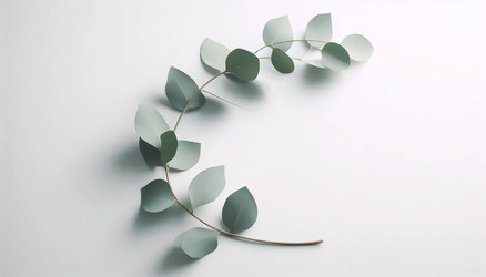 Similar image 22539521