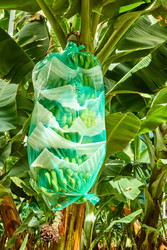 Similar image 22536771