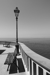 Similar image 22536903