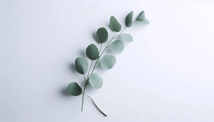 Similar image 22541968