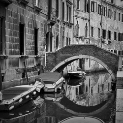 Similar image 22536916