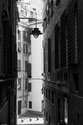 Similar image 22537019