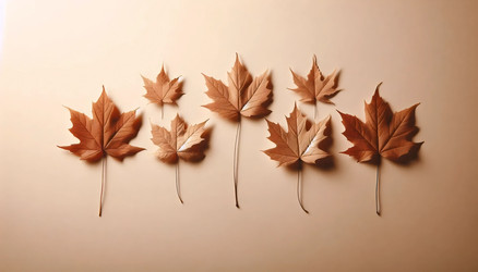 Similar image 22543580