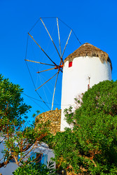 Similar image 22537352