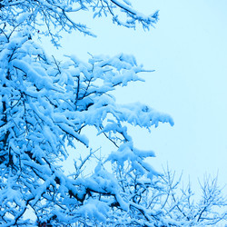 Similar image 22537399