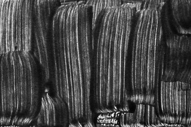 Similar image 22537440