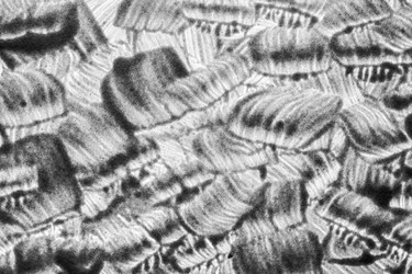 Similar image 22537442