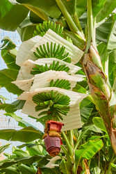 Similar image 22536679