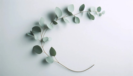 Similar image 22539264