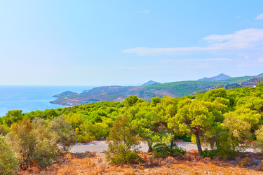 Similar image 22536782