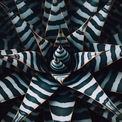 Similar image 22539702