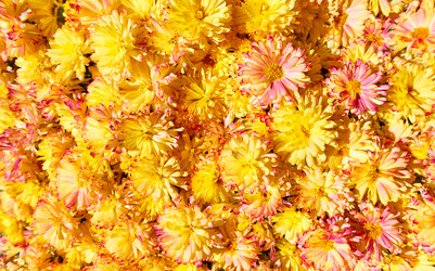 Similar image 22537128