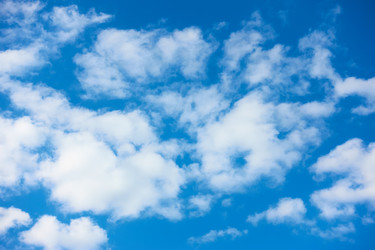 Similar image 22537249