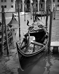 Similar image 22537531