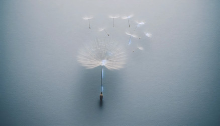 Similar image 22539817