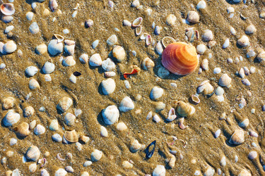 Similar image 22537474