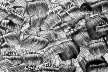 Similar image 22537491