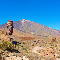 Similar image 22537505