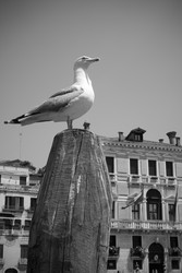 Similar image 22537581