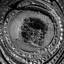 Similar image 22538678