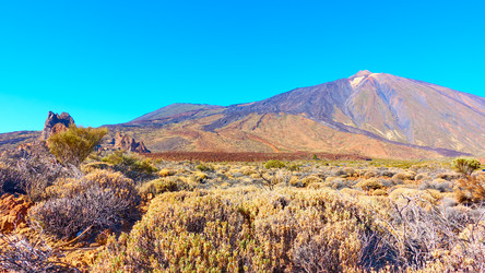 Similar image 22538684