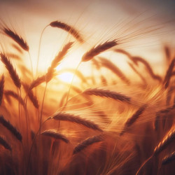 Similar image 22543275