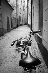 Similar image 22554226