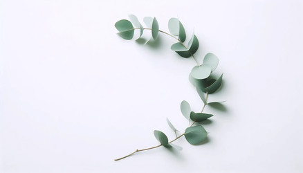 Similar image 22545382