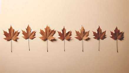 Similar image 22545472