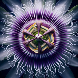 Similar image 22539043