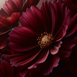 Similar image 22545430