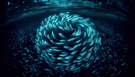 Similar image 22539529