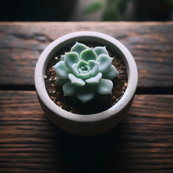 Similar image 22541770