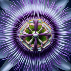 Similar image 22540497