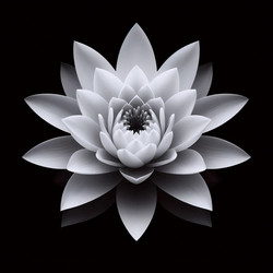 Similar image 22541514