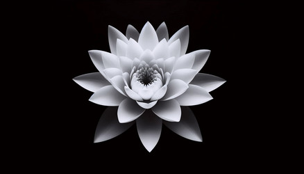 Similar image 22551909