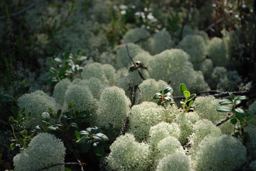 Similar image 22554230