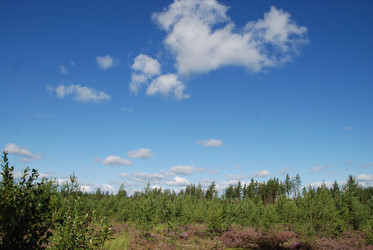 Similar image 22554231