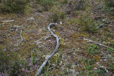 Similar image 22555971