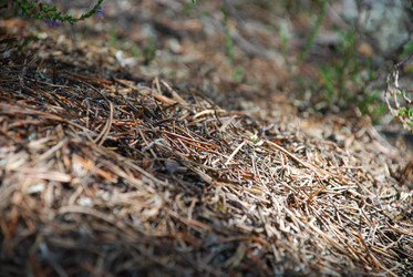 Similar image 22555972