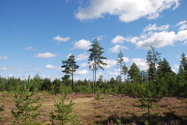 Similar image 22554233