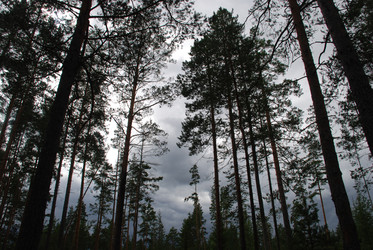 Similar image 22555973